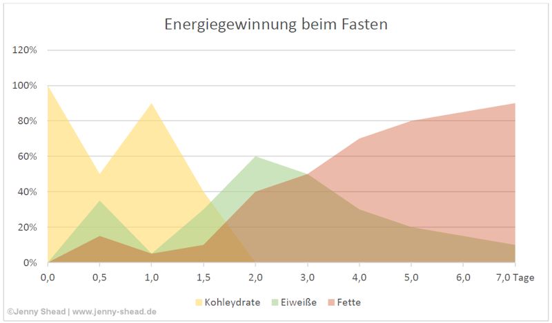 3 Tage Fasten: Was Passiert Im Körper