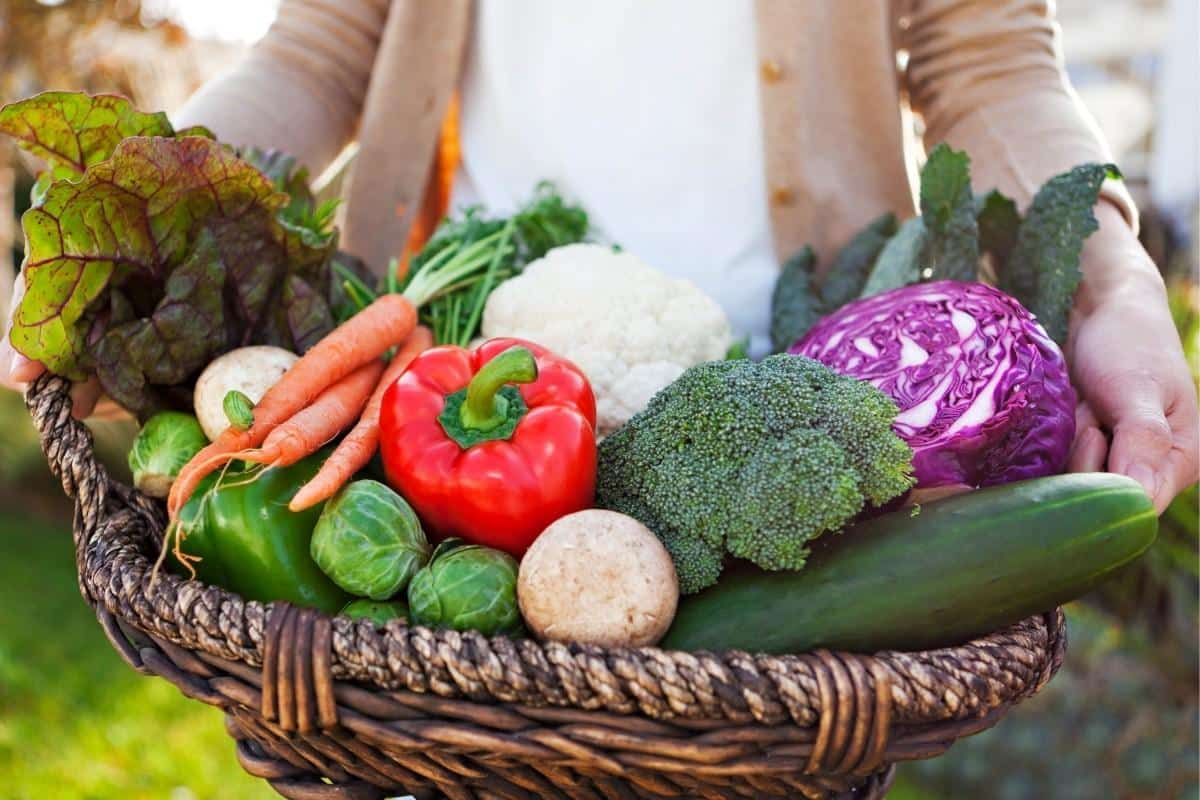 Mehr über den Artikel erfahren Saisonalität leben – Warum die Jahreszeiten unsere Ernährung und Bewegung bestimmen