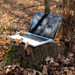 Laptop im Wald